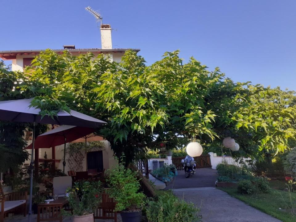 Au Bosquet, Chambre Et Salle De Bains Avec Petit Dejeuner A 600 M Du Centre Dans Un Cadre Calme Et Verdoyant Salies-de-Béarn Eksteriør billede