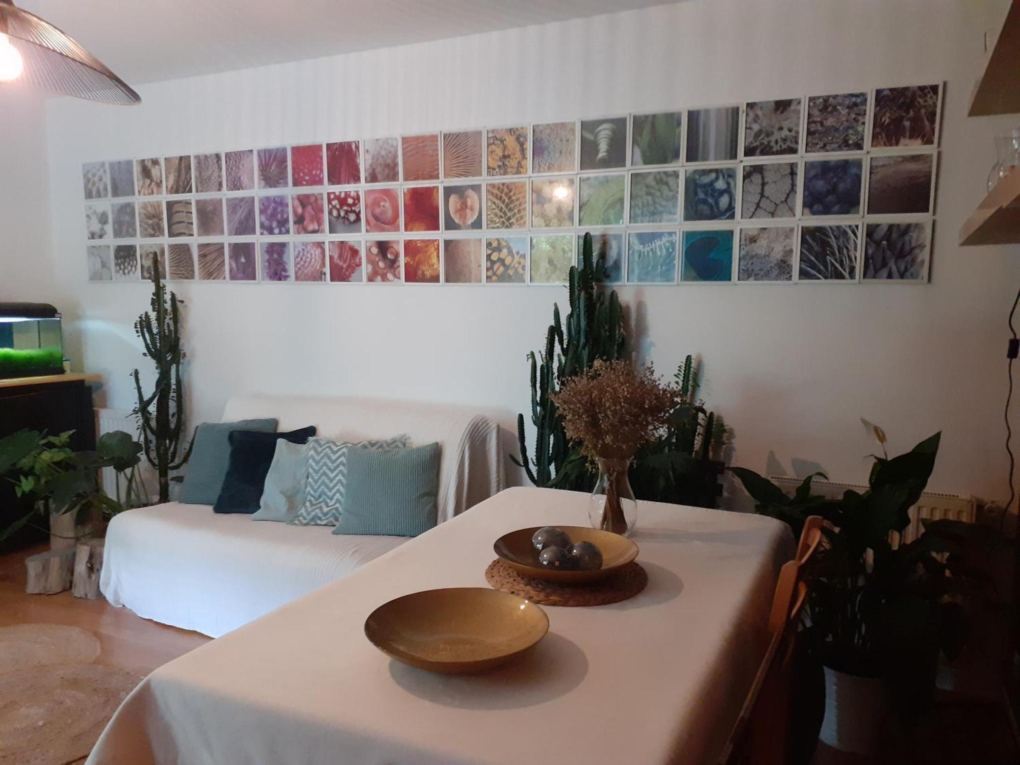 Au Bosquet, Chambre Et Salle De Bains Avec Petit Dejeuner A 600 M Du Centre Dans Un Cadre Calme Et Verdoyant Salies-de-Béarn Eksteriør billede